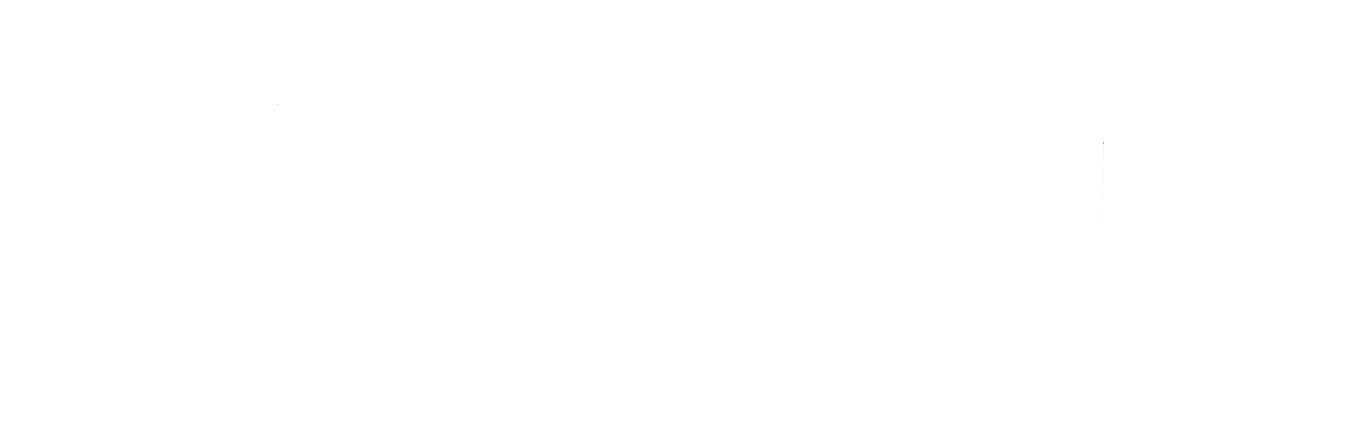 Ignasoft Logo